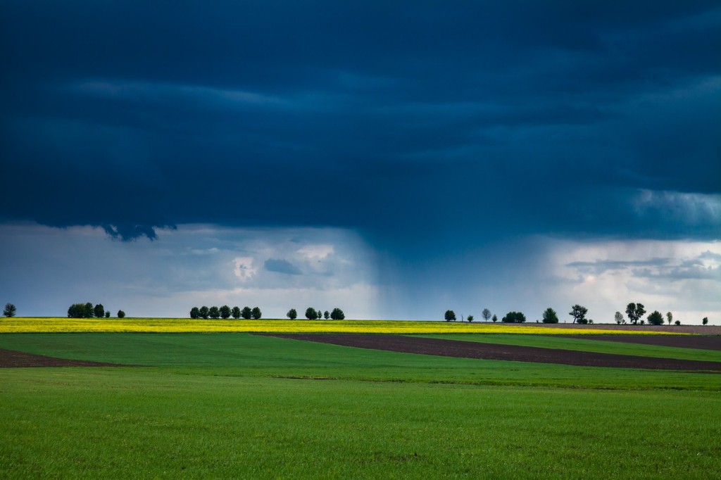 Виставка фотографій 